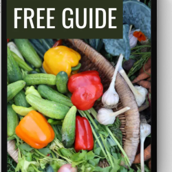 Download the Garden Guide