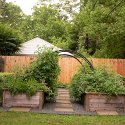 Kitchen Garden Packages