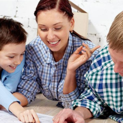 Drone and Thermal Imagery Inspections