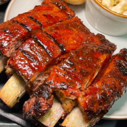RIbs