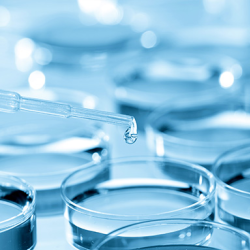 Lab Services