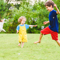 Pollinator Protection