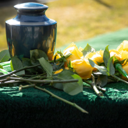 Cremation Services