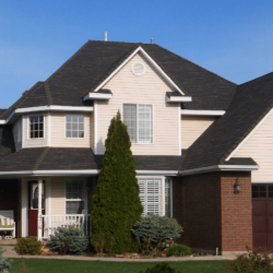 Shingle Roofing Services