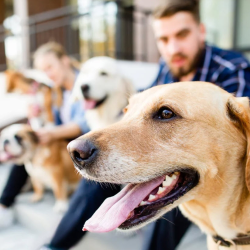 In-Person Group Classes