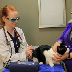 Laser Therapy