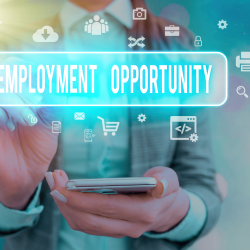 Job Assistance and Employment Opportunities