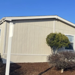 Renters Insurance