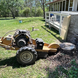 Stump Grinding