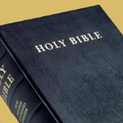 Bible Study
