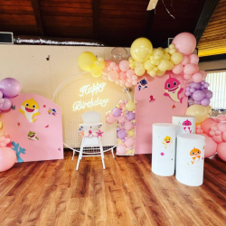 Party Backdrop Set Up