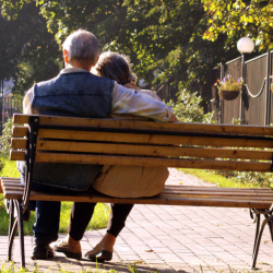 Protective Proceedings