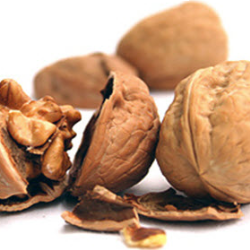 InShell Walnuts