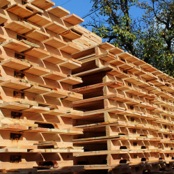 New Pallets and Skids