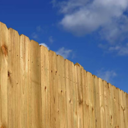Cedar Fencing