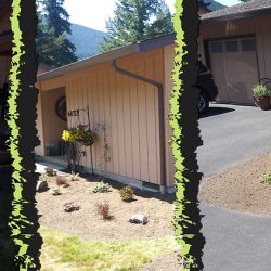 Landscape Design and Installation