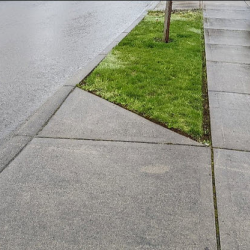 Lawn Aeration and Overseeding