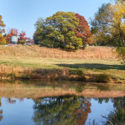 Wetland Delineation