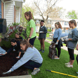 Neighborhood Revitalization