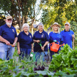 Environmental Conservation Workshops