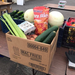 Free Food Boxes (Supplies Vary)