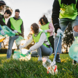 City Wide Clean Up