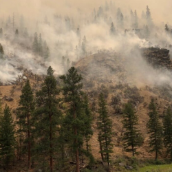 Climate and Environment