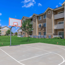 Basketball Court