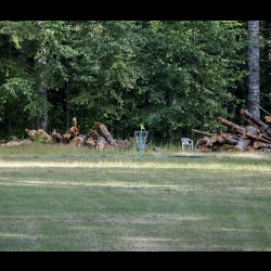 Disc Golf