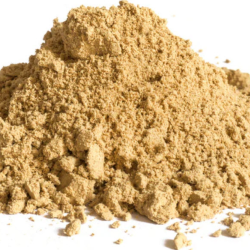 Lion's Mane Powder