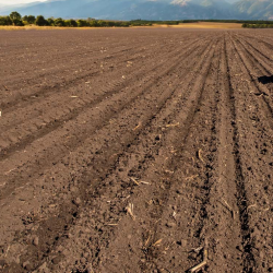 Soil Testing