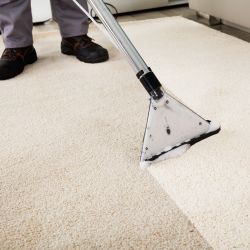 Rental - Carpet Cleaning