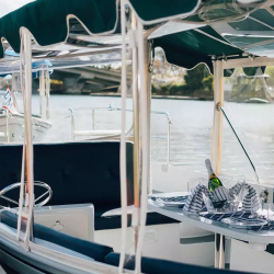 Pre-Owned Duffy Electric Boats