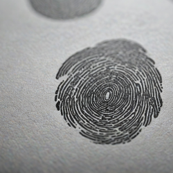 Ink Fingerprinting