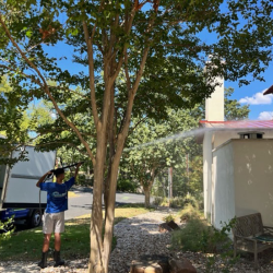 Roof Cleaning
