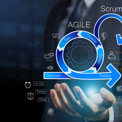 Agile Transformations