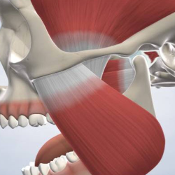 TMJ Disorders