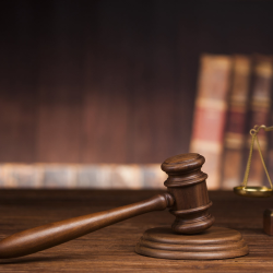 Litigation Support
