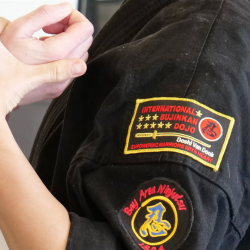 Bay Area Ninjutsu