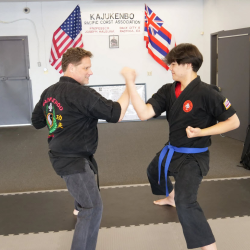 Non-Physical Situational Awareness Classes