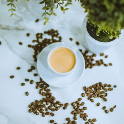 Espresso Shot