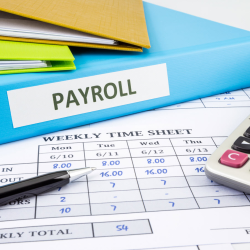 Payroll Services