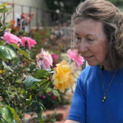 Arthritis Care For Seniors