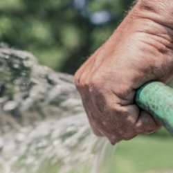 Water Utilities