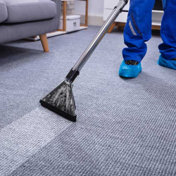 Carpet Cleaning