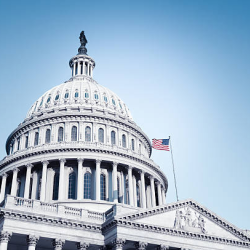 Government