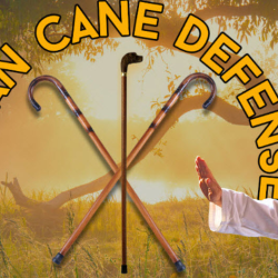 Urban Cane Self-Defense Training