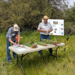 Agricultural Education