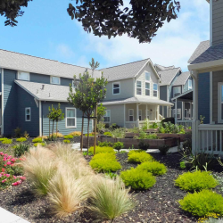 Residential Programs And Rebates