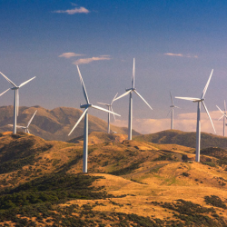  Educational Resources